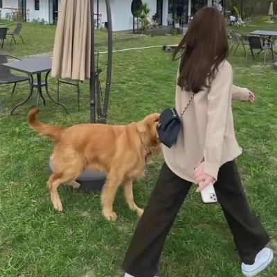 来路不明的神秘女友 在线观看